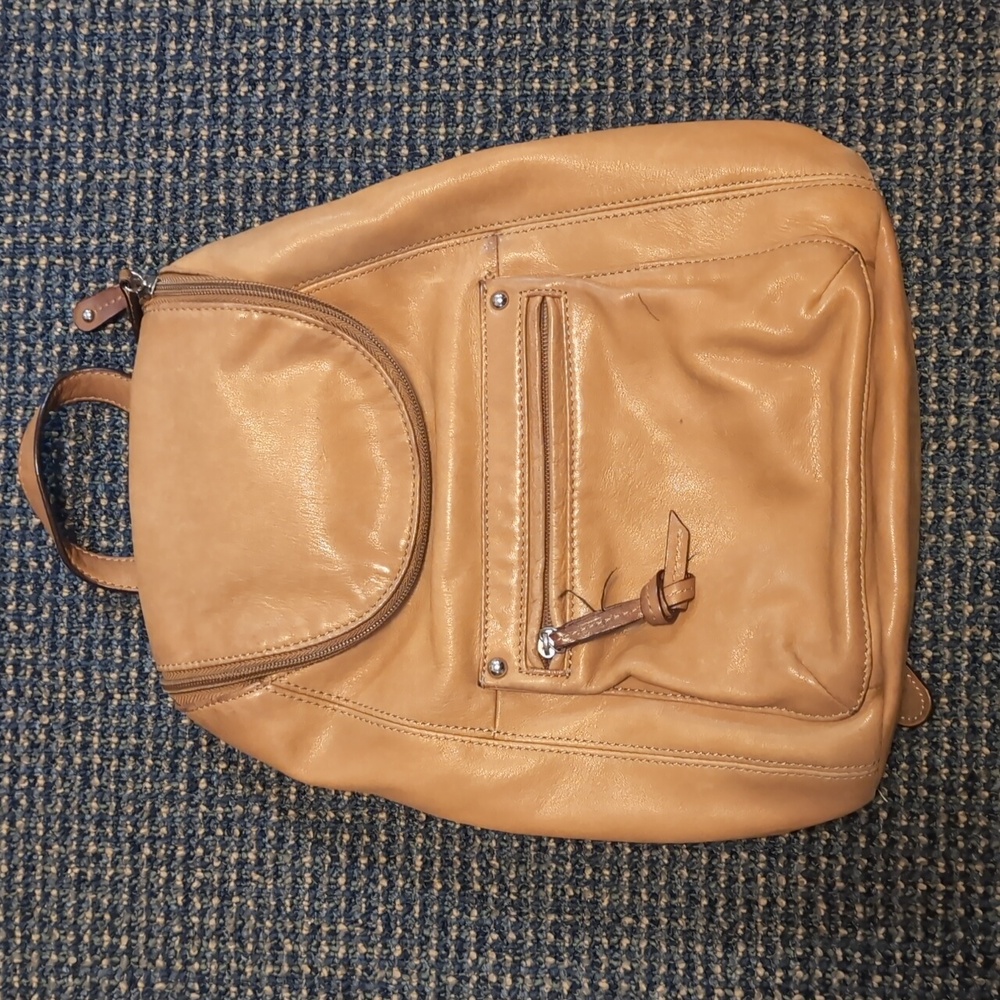 Tignanello Leather Backpack Bag